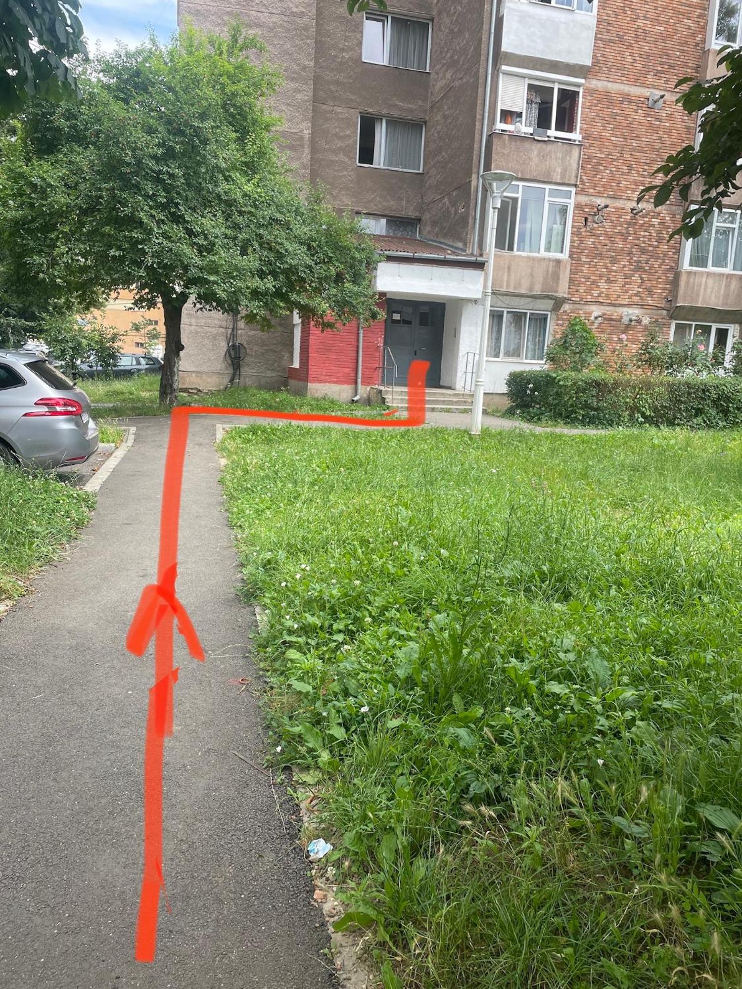 Central Studio Lcs Vajdahunyad Kültér fotó